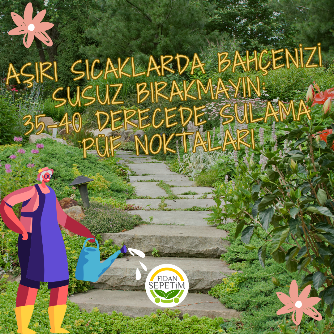 Aşırı Sıcaklarda Bahçenizi Susuz Bırakmayın: 35-40 Derecede Sulama Püf Noktaları