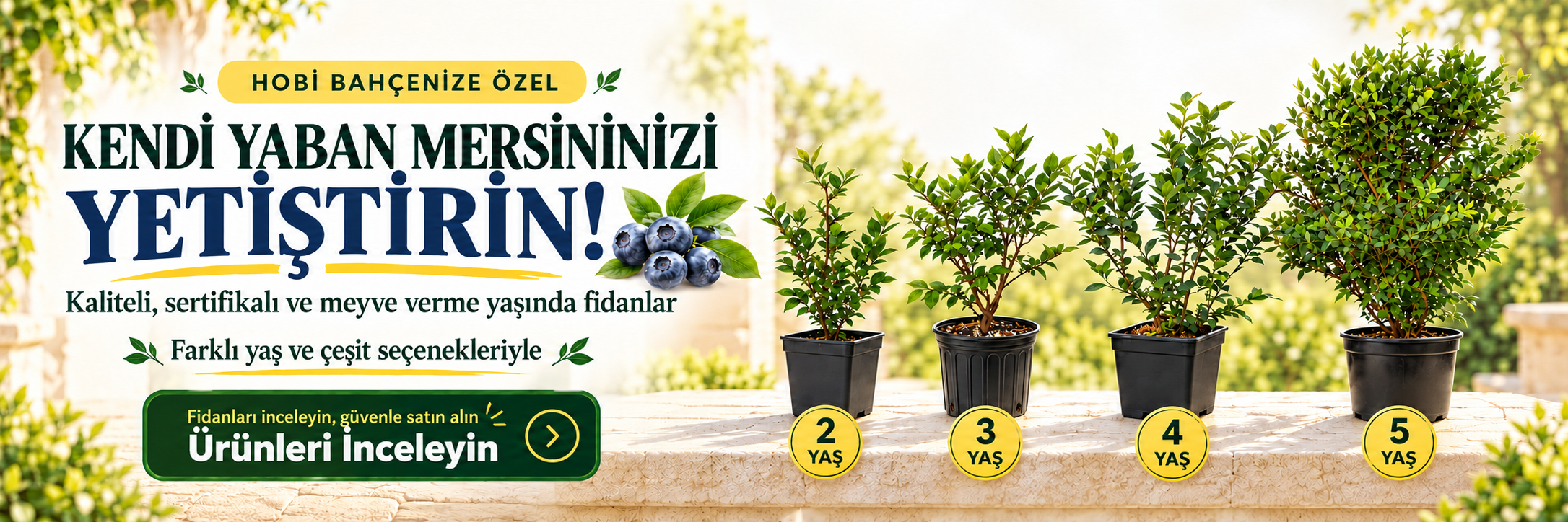 Fidan Sepetim - 1