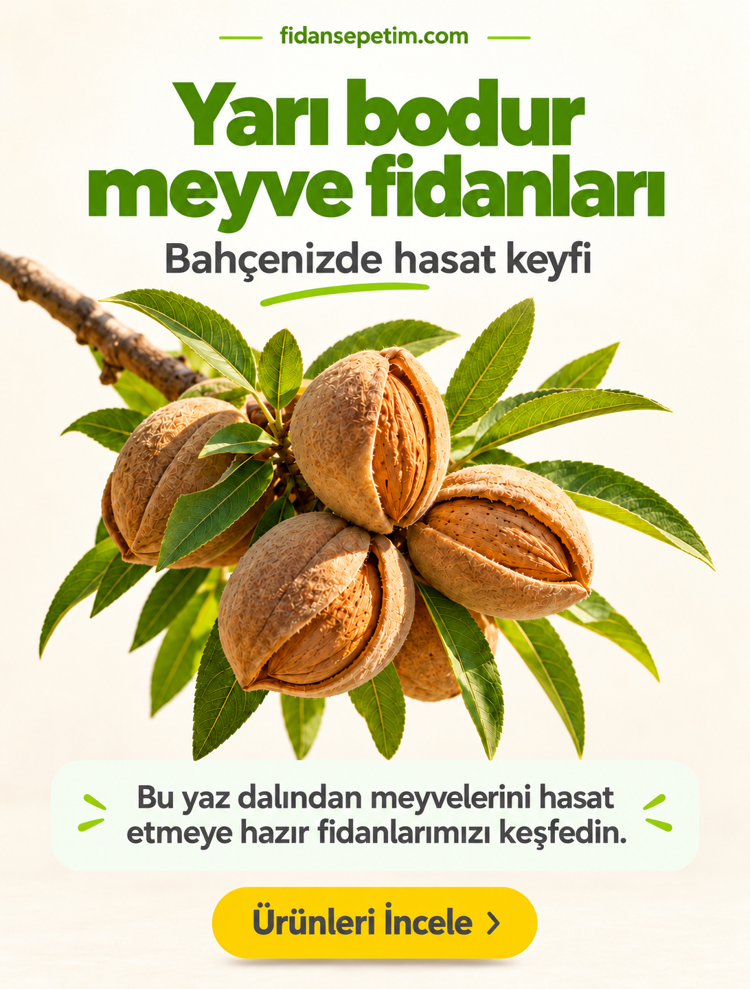 Fidan Sepetim Resim - 1