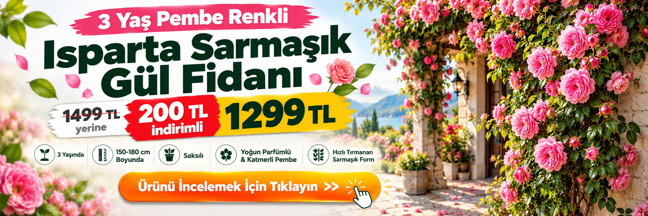 Fidan Sepetim - 1