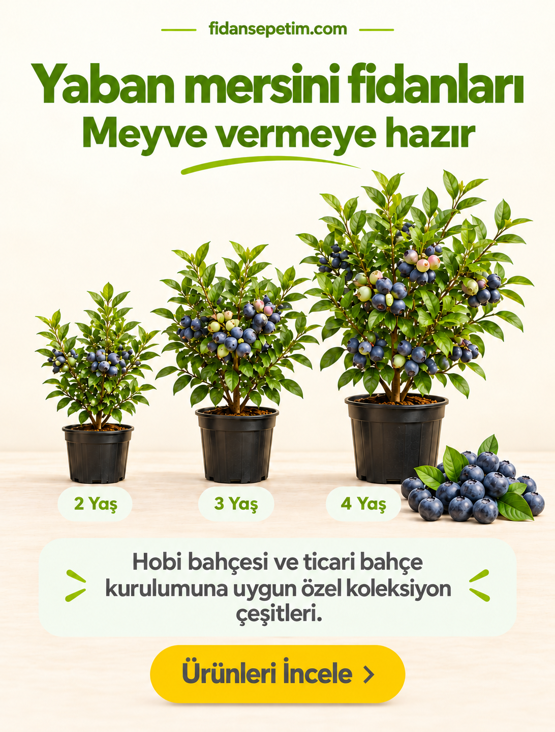 Fidan Sepetim Resim - 1