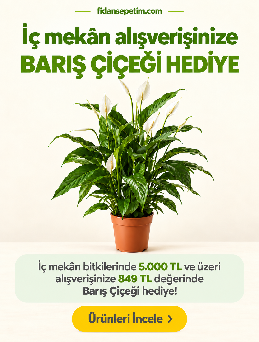 Fidan Sepetim Resim - 1