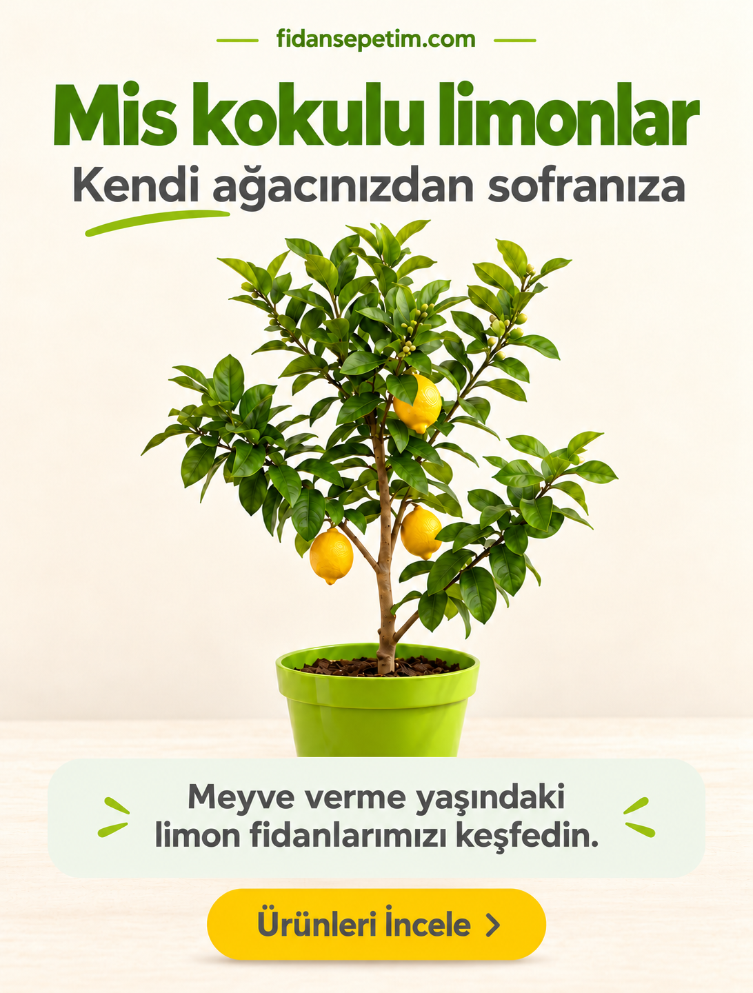 Fidan Sepetim Resim - 1