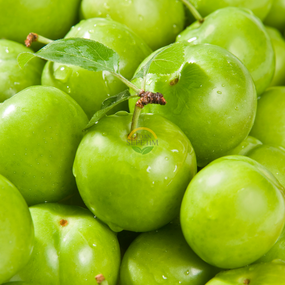 3 Yaş Aşılı Papaz Erik Fidanı 3 Yaş Aşılı Papaz Erik Fidanı