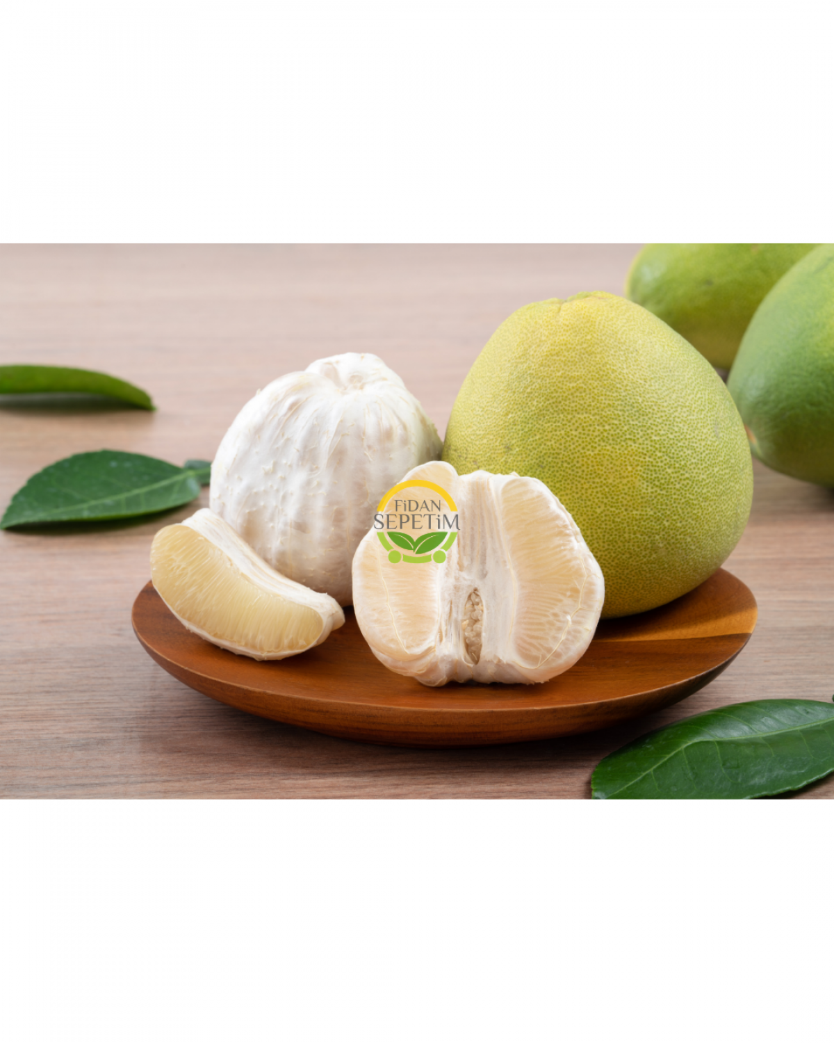 3 Yaş Aşılı Şadok (Pomela) Fidanı