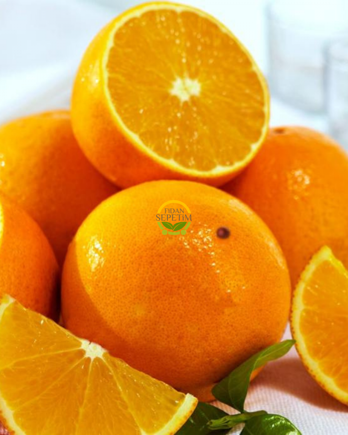 3 Yaş Aşılı Valencia Portakal Fidanı