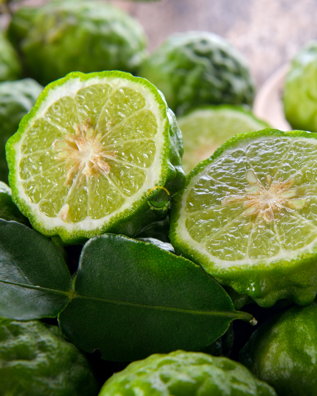 3 Yaş Bergamot Fidanı 'Citrus bergamia'