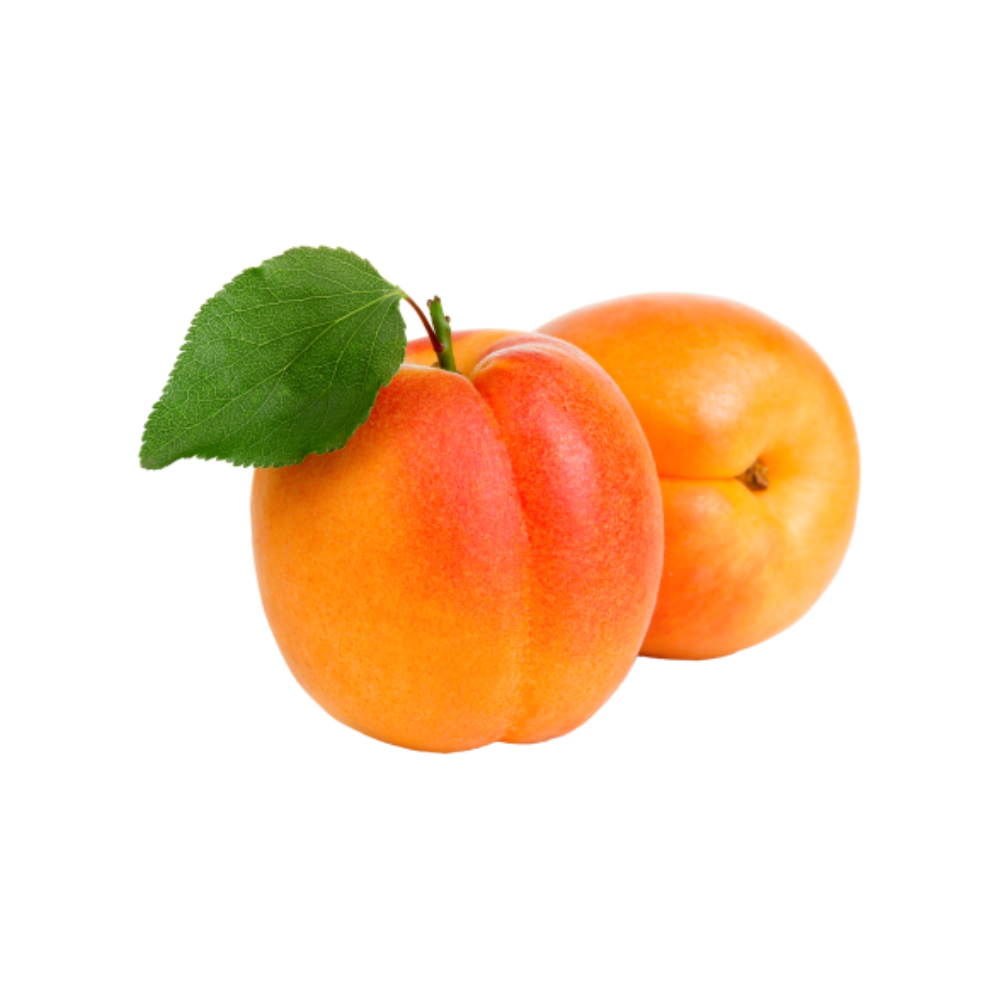 4 Yaş Aşılı Alyanak Kayısı Fidanı 4 Yaş Aşılı Alyanak Kayısı Fidanı