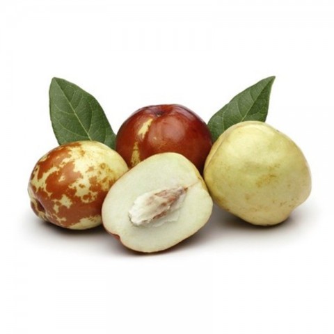 4 Yaş Aşılı İri Meyveli Hünnap Fidanı 4 Yaş Aşılı İri Meyveli Hünnap Fidanı