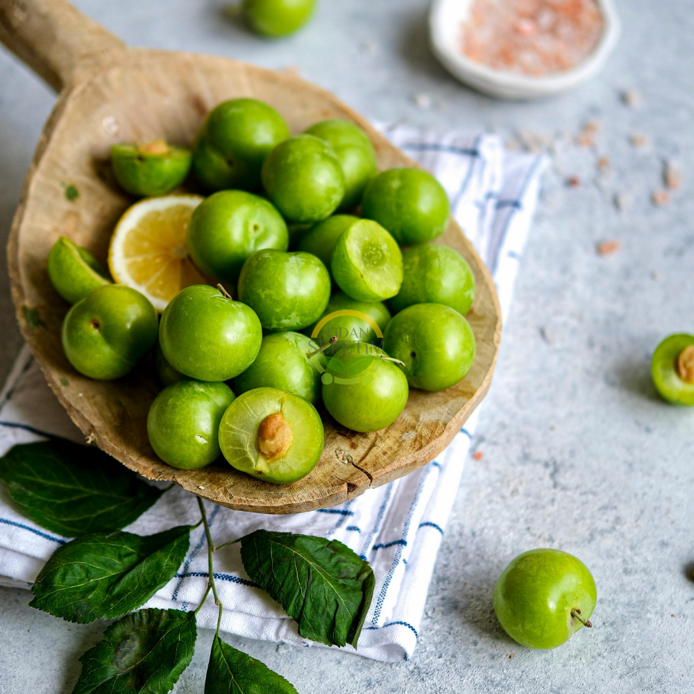 4 Yaş Aşılı Papaz Erik Fidanı 4 Yaş Aşılı Papaz Erik Fidanı