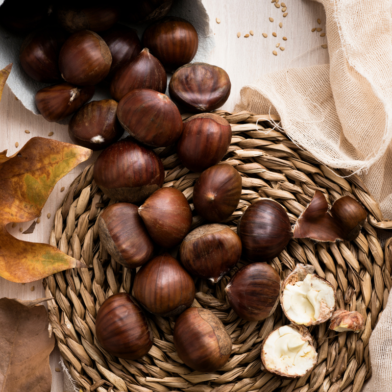 4 Yaş Maraval Kestane Fidanı 4 Yaş Maraval Kestane Fidanı