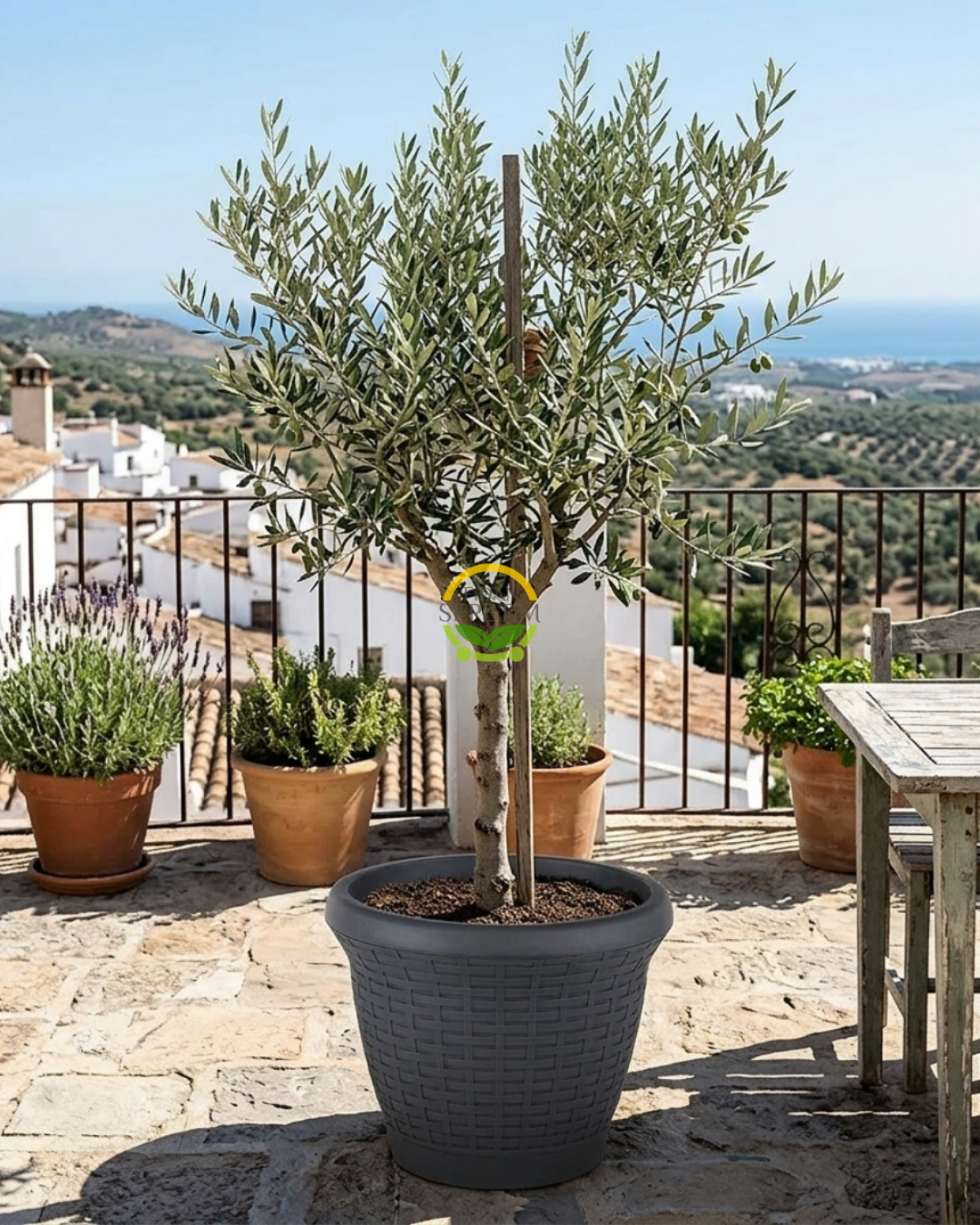 Hasır Saksı 10 LT - Antrasit Renk Hasır Saksı 10 LT - Antrasit Renk