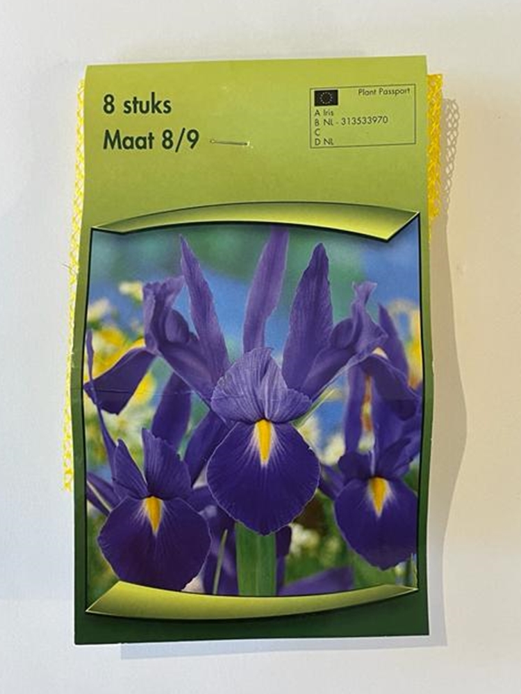 İris Hollandica Lale Soğanı 8 Adet İris Hollandica Lale Soğanı 8 Adet