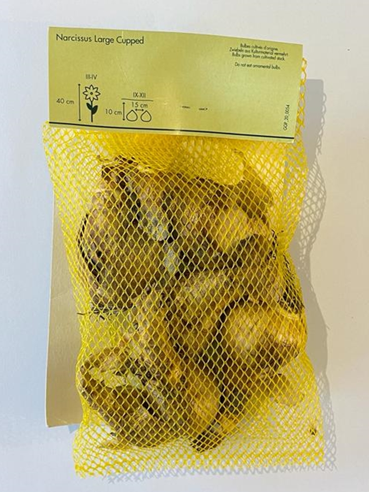 Narcissus Large Cupped Lale Soğanı 5 Adet Narcissus Large Cupped Lale Soğanı 5 Adet