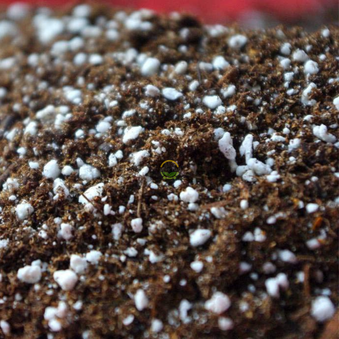 Özel Karışımlı Toprak 80 Litre (Torf&Cocopeat&Perlit) Ph 5,5-6,5 (İTHAL) Özel Karışımlı Toprak 80 Litre (Torf&Cocopeat&Perlit) Ph 5,5-6,5 (İTHAL)