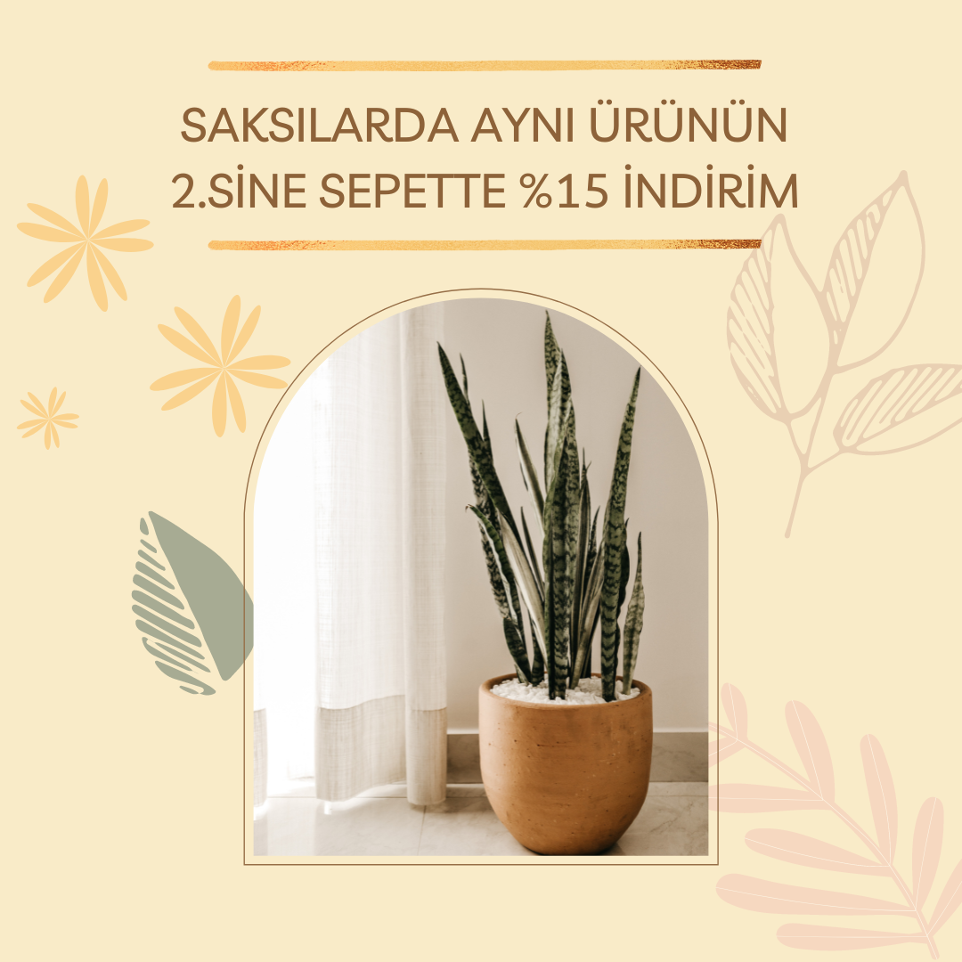 Yalı Saksı Drenajlı 23 LT - Kirli Beyaz Renk
