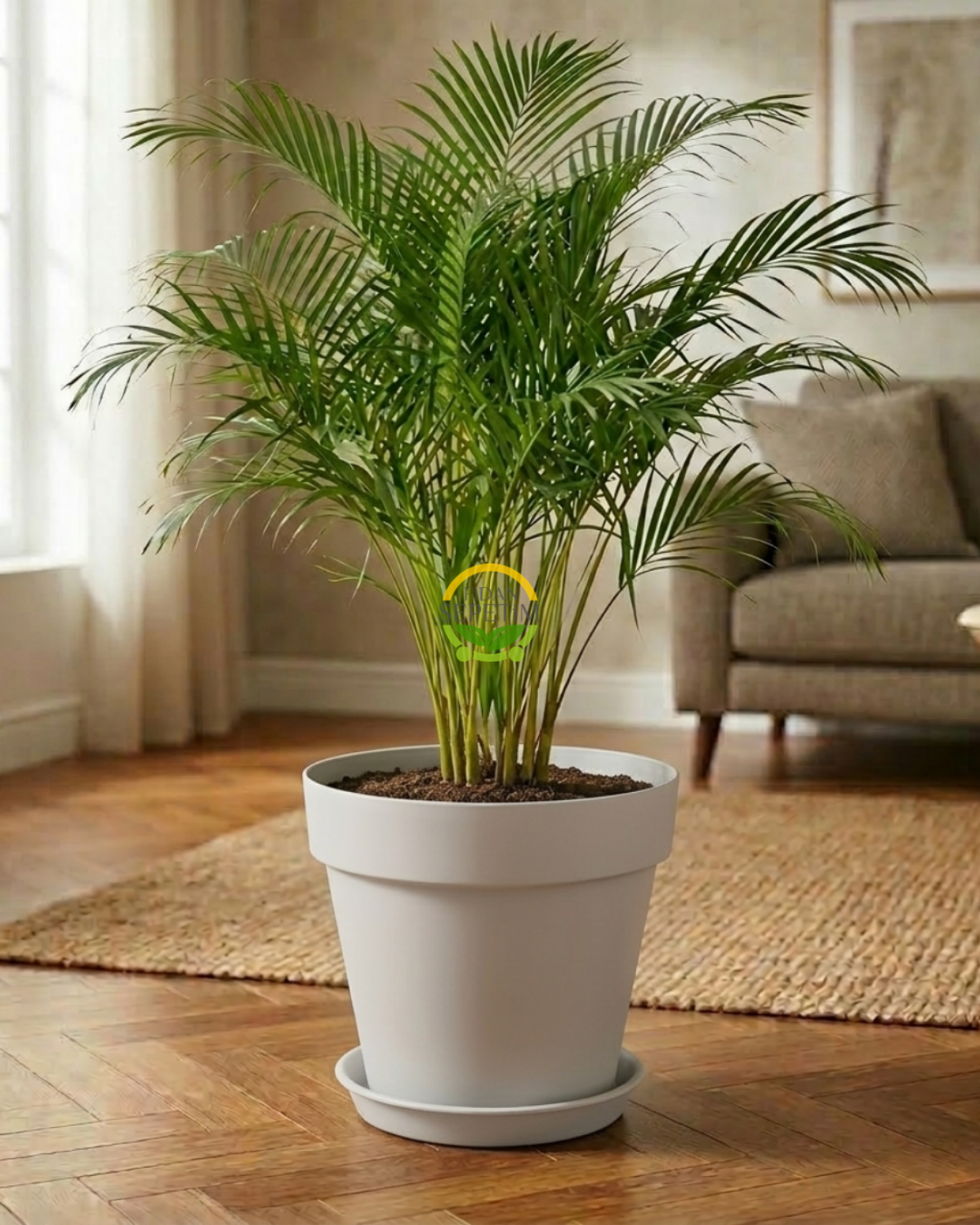 Yalı Saksı Drenajlı 23 LT - Kirli Beyaz Renk