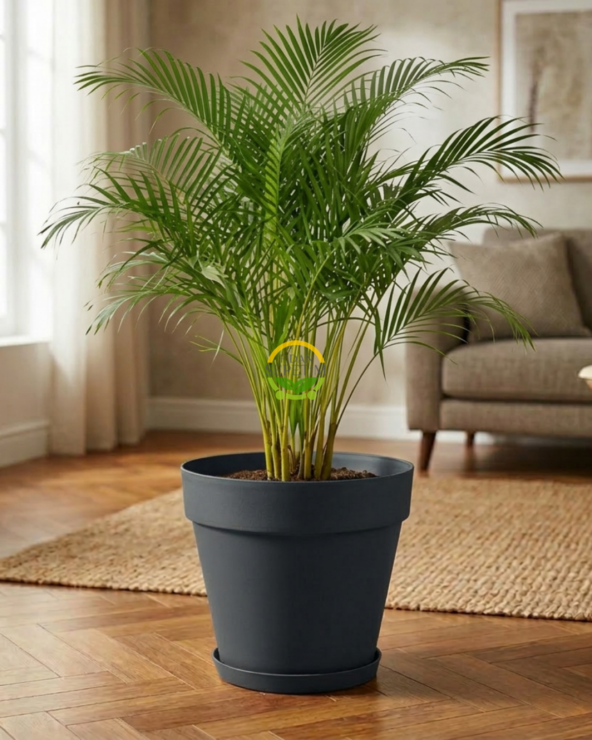 Yalı Saksı Drenajlı 76 LT - Antrasit Renk