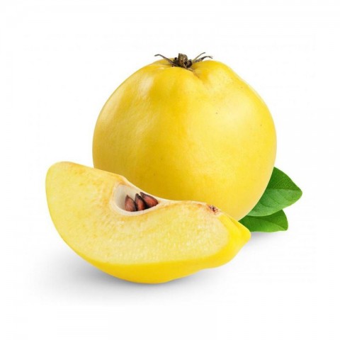 3 Yaş Aşılı Eşme Ayva Fidanı