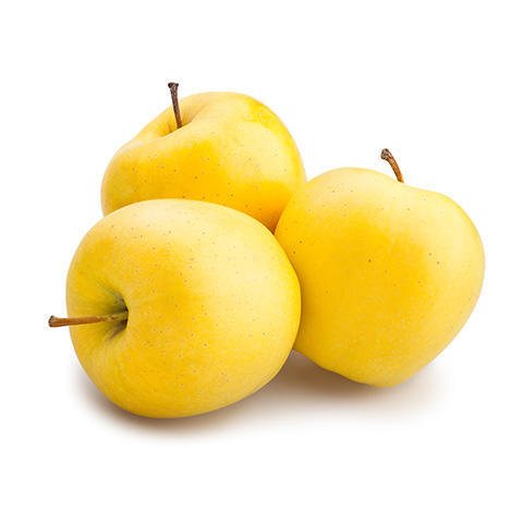 3 Yaş Aşılı Golden Delicious Elma Fidanı *Yarı Bodur*