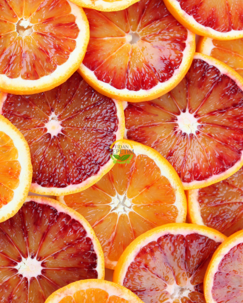 3 Yaş Aşılı Kan Portakalı Fidanı