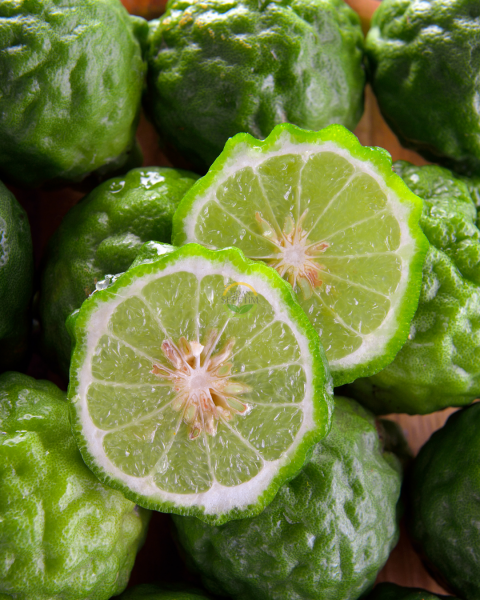 3 Yaş Bergamot Fidanı 'Citrus bergamia'