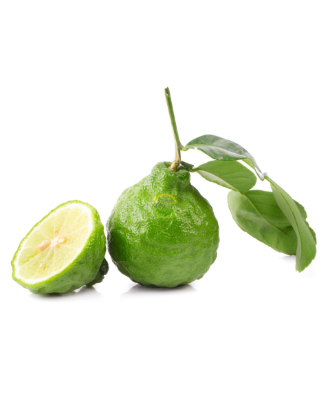 3 Yaş Bergamot Fidanı 'Citrus bergamia'