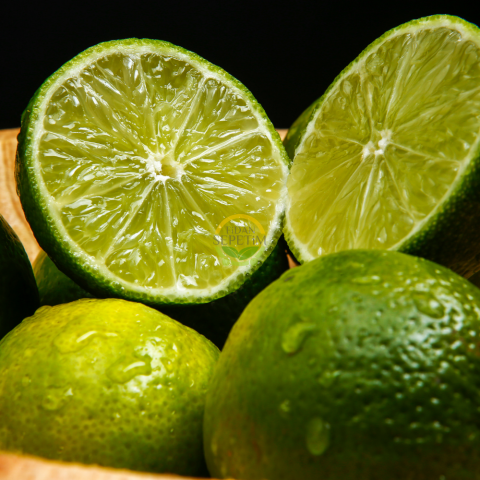 3 Yaş Tahiti Lime Fidanı *ÜZERİ ÇİÇEKLİ*