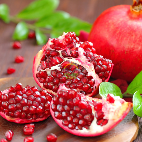 4 Yaş Deve Dişi Nar Fidanı