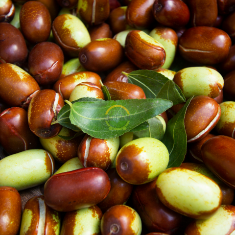 6 Yaş Ufak Meyveli Hünnap Fidanı