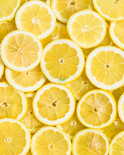 Dekoratif Saksılı Tijli Limon Fidanı