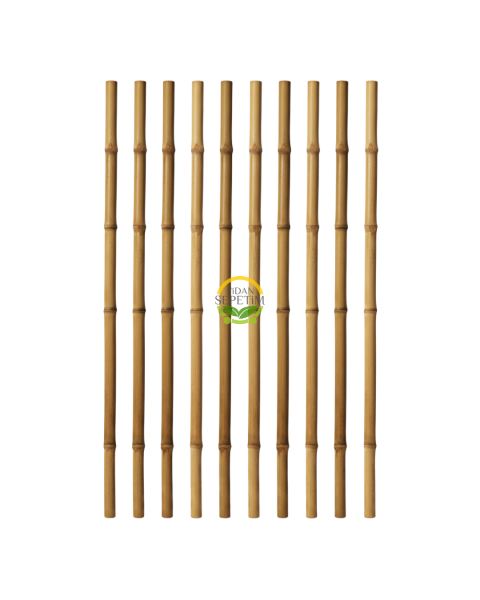 Fidan Dikim Destek Çubuğu 50 Adet (75cm)