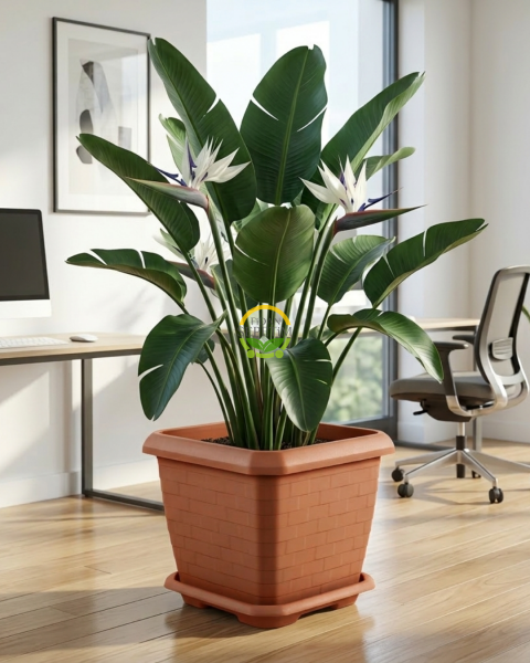 Hisar Kale Saksı 74,3 LT - Kiremit Renk