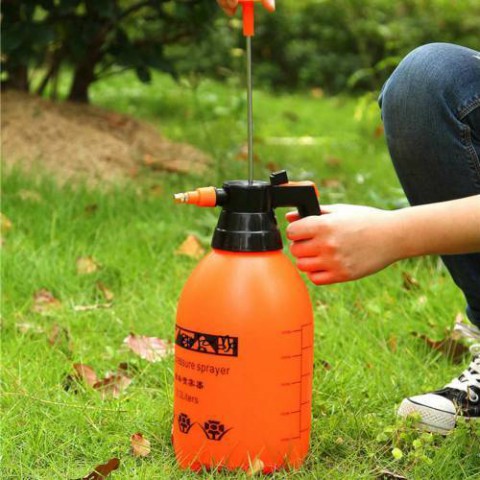 Basınçlı El Pompası 2 Litre