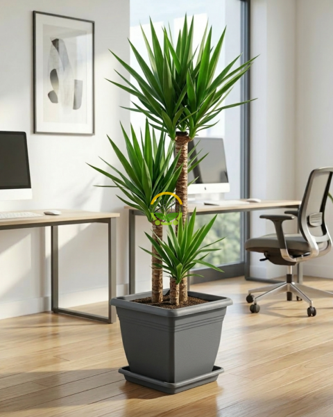 Villa Kare Saksı 64 LT - Antrasit Renk