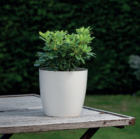 Yakut Saksı 33 LT - Kirli Beyaz Renk (Parlak) Yakut Saksı 33 LT - Kirli Beyaz Renk (Parlak)